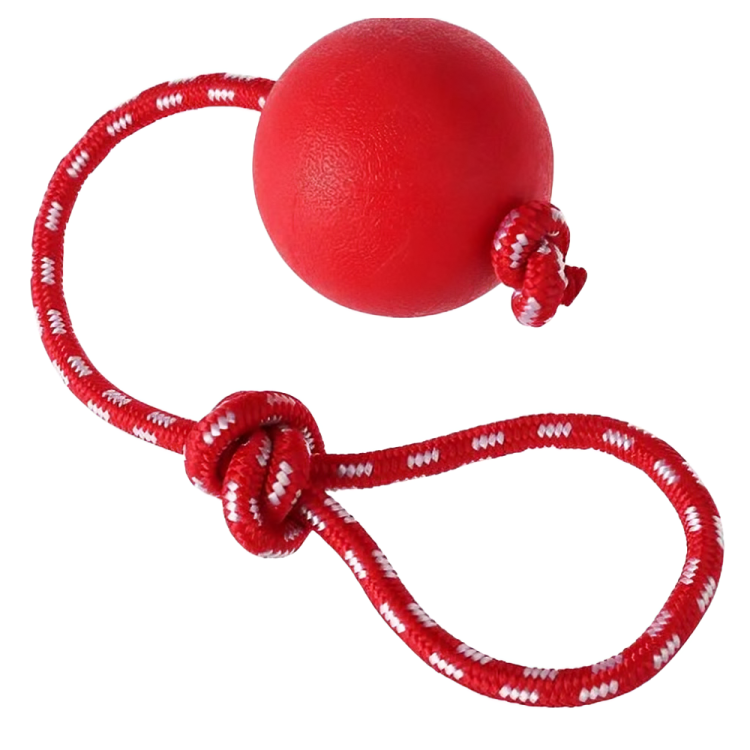 High-Quality Durable Rubber Ball for Dogs | Pet City Shop