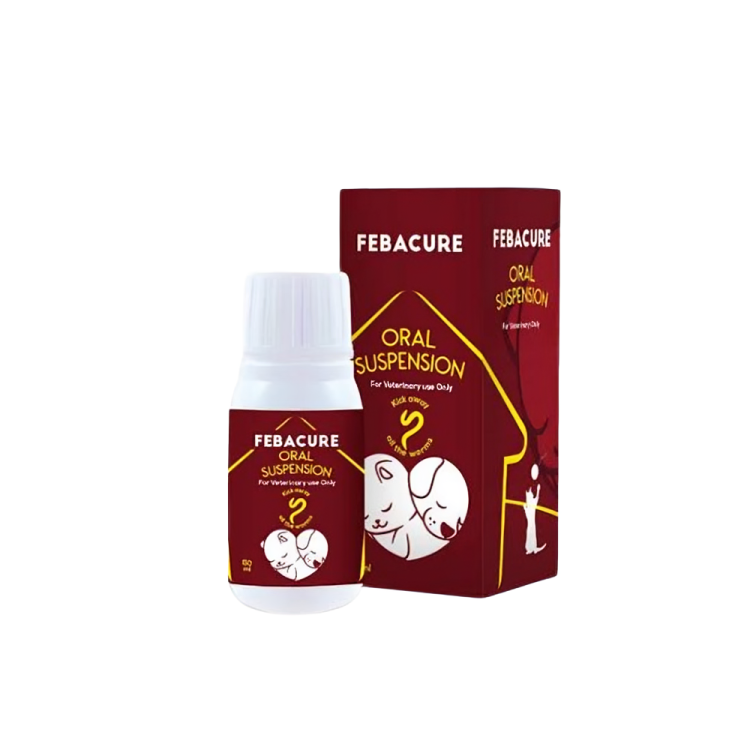 Febacure Oral Suspension 50ml - Pet City Shop