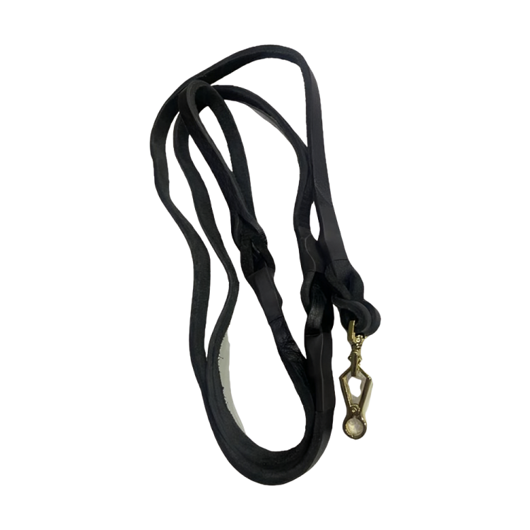 Black Leather Dog Leash with Brass Hardware | Pet City Shop