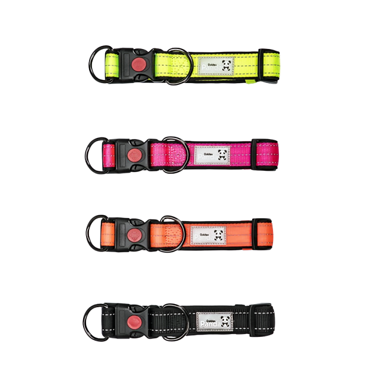 Colorful Soft Comfortable Nylon Foam Padded Dog Collar from Pet City Shop – Soft and durable collar for your dog